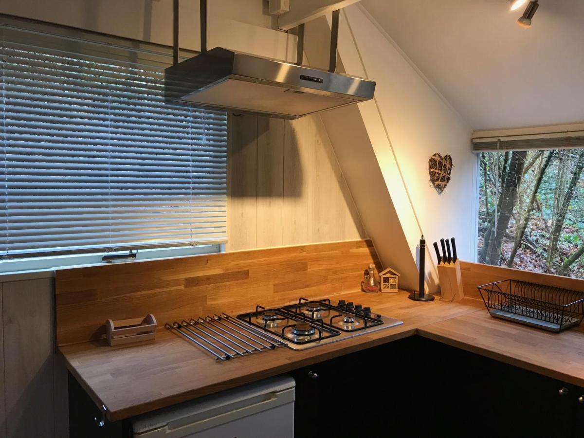 Heavenly Renovated Cabin Near Pittoresque Durbuy - Whistler Villa Exterior photo