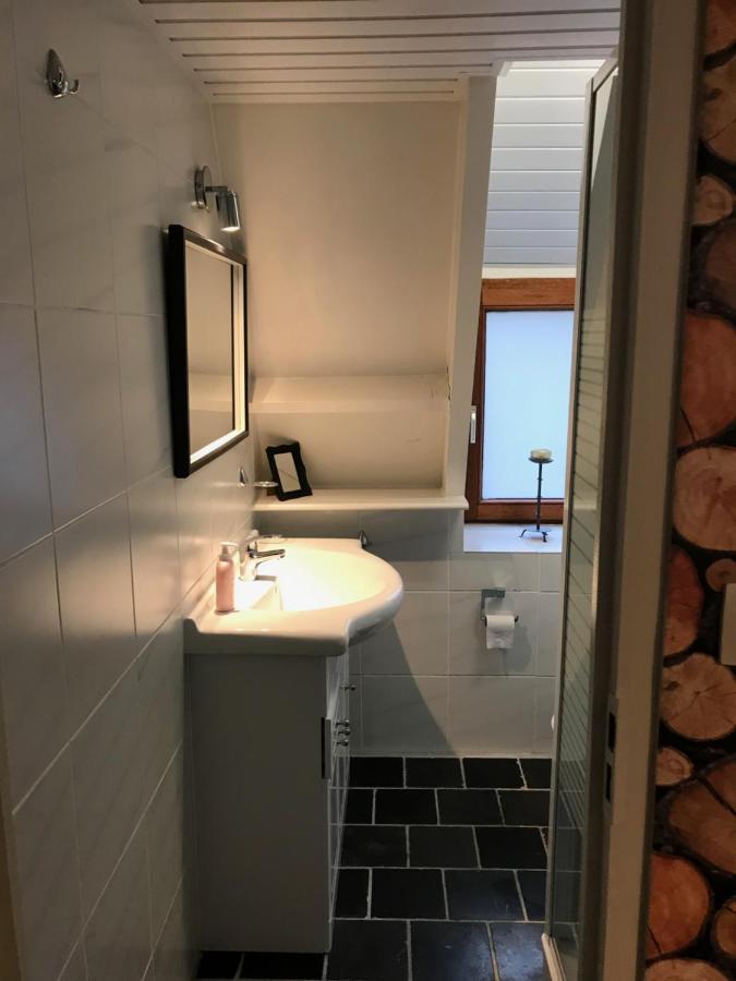 Heavenly Renovated Cabin Near Pittoresque Durbuy - Whistler Villa Exterior photo