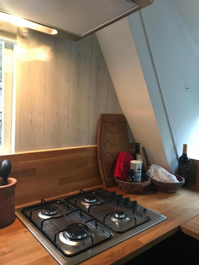 Heavenly Renovated Cabin Near Pittoresque Durbuy - Whistler Villa Exterior photo